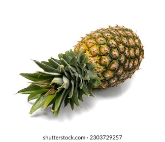 Whole Pineapple Isolated, Big Ananas, Comosus Tropical Fruit, Ripe Pine Apple, Pineapple Fruit on White Background