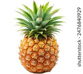 A whole pineapple with its textured skin and spiky crown, isolated on a white background.