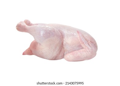 Whole Raw Chicken Isolated On White Background. Fresh Uncooked Broiler Hen With Skin For Cooking. Side View.