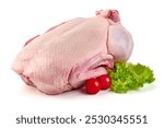 Whole raw duck with lettuce and cherry tomatoes, isolated on white background