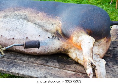 Whole Roasted Pig In The Yard With The Flame From The Gas Bottle