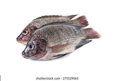 Whole Round Fresh Tilapia Fish On White Background