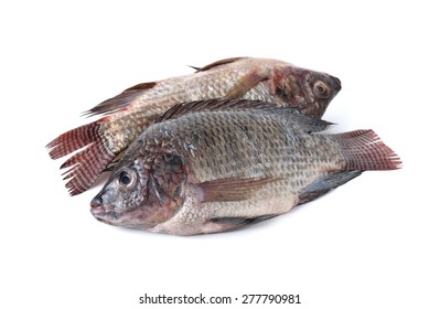 Whole Round Fresh Tilapia Fish On White Background