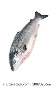 Whole Scottish Salmon Fish (1kg) Isolated On A White Studio Background