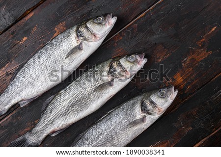 Similar – fresh whole sea bass fish on a black board