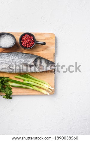 Similar – fresh whole sea bass fish on a black board