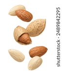 Whole, shelled and blanched almond nuts falling isolated on white background. Vertical drop. Package design elements with clipping path