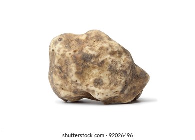Whole single fresh white truffle isolated on white background
