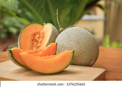 Whole and sliced of Japanese melons,honey melon or cantaloupe (Cucumis melo) on wooden table background.Favorite fruit in summer.Food,Fruits or healthcare concept.
