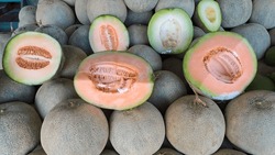 Whole And Sliced Of Melons,honey Melon Or Cantaloupe (Cucumis Melo) Sale In Market Fruit. Favorite Fruit In Summer.Food,Fruits Or Healthcare Concept.