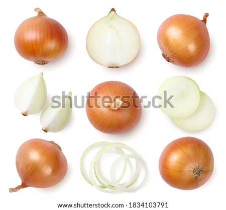 Whole and sliced onion bulbs isolated on white background. Top view.