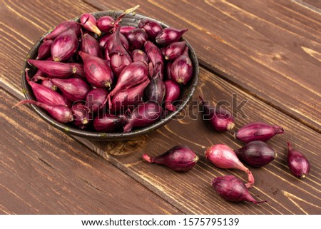 Similar – Image, Stock Photo Wild Onion (Allium Cernuum )