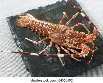 Whole Spiny Lobster