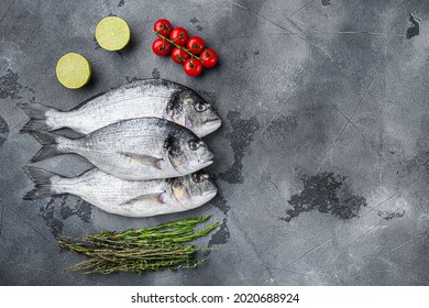 Whole Three  Seabream Or Gilt Head Bream Dorada Fish With Herbs Pepper Lime Tomato For Cooking And Grill On Grey Textured Background, Top View  With Space For Text