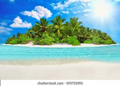 Whole tropical island within atoll in Indian Ocean  Uninhabited   wild subtropical isle and palm trees  Blank  sand tropical island 