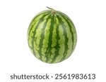 Whole Watermelon with Green Rind and Light Green Stripes Isolated on White Background