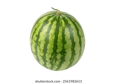 Whole Watermelon with Green Rind and Light Green Stripes Isolated on White Background