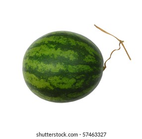 The Whole Watermelon Isolated White