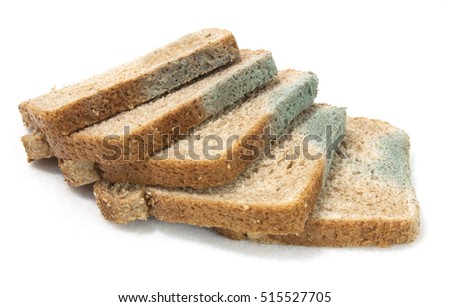 Whole Wheat Bread Starting Mold Five Stock Photo Edit Now