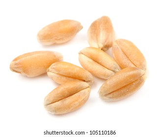 Whole Wheat Grains Macro - Powered by Shutterstock