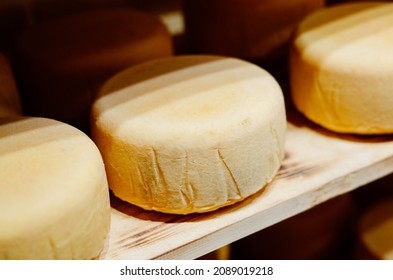 Whole wheel cheese on shelfs from the Netherlands