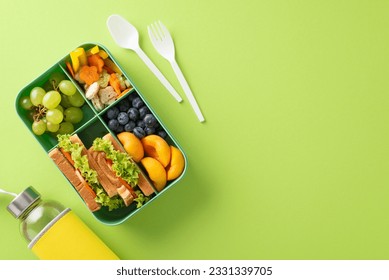 Wholesome snack arrangement for school. Top view featuring lunchbox with variety of fresh fruits, vegetables, sandwiches, berries, water bottle, cutlery on soft green surface, perfect for text or ads