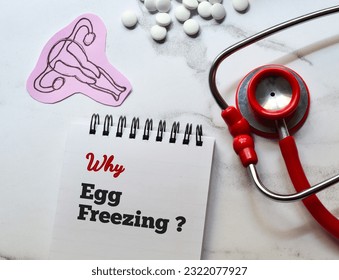 Why Egg Freezing question in notepad with paper cut hand drawn woman reproductive system and stethoscope on desk. Medical background, top view.