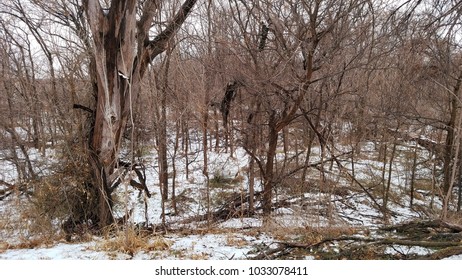 Wichita County Snow Covered Park