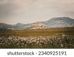 Wichita mountains refuge medow with mountains in the background