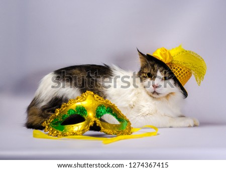 wicked cat in a yellow carnival hat with sequins and a feather n
