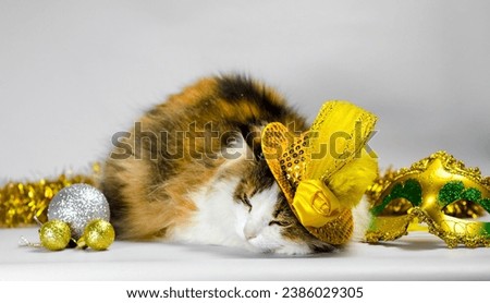 wicked cat in a yellow carnival hat with sequins bow and a feather next to a mask and Christmas balls