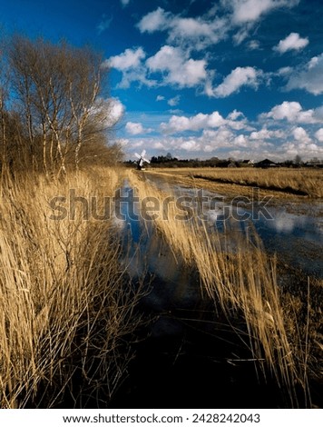 Wicken fen, cambridgeshire, england, united kingdom, europe