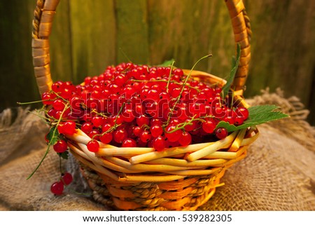 Similar – Ripe red currant berries in a bowl