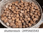 Wicker basket with collected walnuts, cultivation of AOP walnuts in Perigord, Dordogne, France in autumn