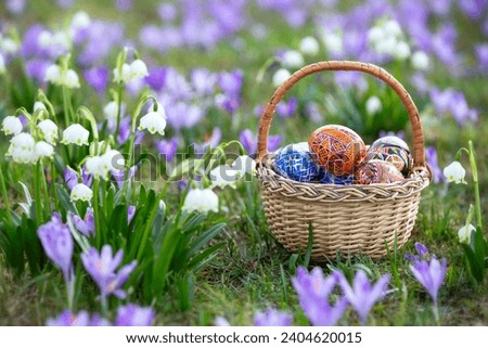 Wicker basket with Easter eggs. A lawn covered purple flowers of crocuses with the blurred background of green grass.Floral spring landscape