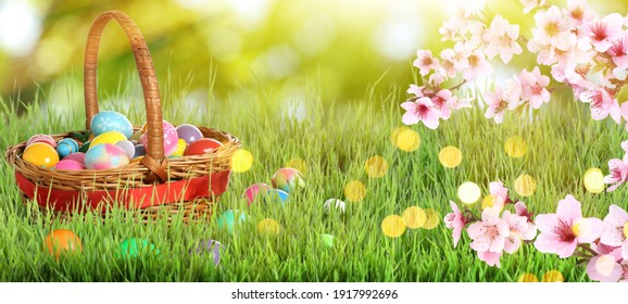 provokere Citere Indsigtsfuld Easter Nature Images, Stock Photos & Vectors | Shutterstock
