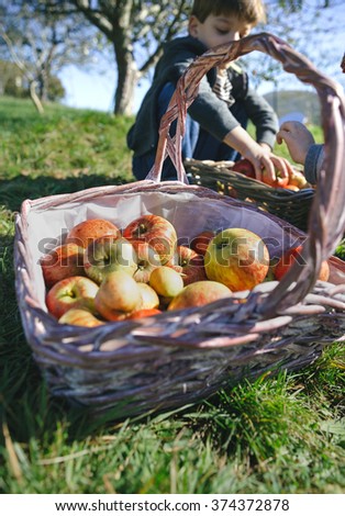 Similar – Foto Bild Frau und kleines Mädchen halten einen Korb mit Äpfeln.