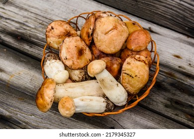 Wicker basket with freshly picked porcini and oiler mushrooms on rustic wooden table. Top view