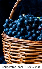 Wicker Basket Full Of Tempranillo Grapes, Harvested In The North Of Spain.