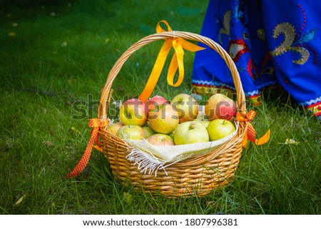 Similar – Closeup of woman putting apples in wicker basket while little girl looking