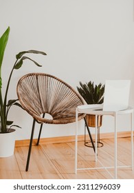 A wicker chair against white wall with large potted plants and white table with open laptop. Modern interior living room. Minimal bright interior. - Shutterstock ID 2311296039
