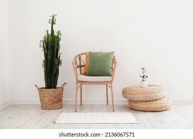 Wicker Chair With Pillows And Big Cactus Near Light Wall