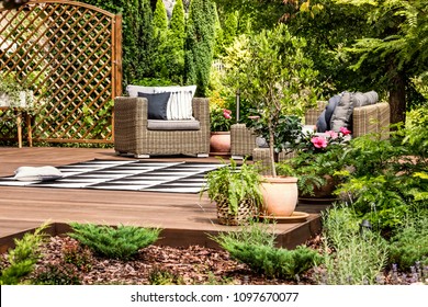 Wicker garden furniture on a terrace decorated with plants, bushes, flowers and trees - Shutterstock ID 1097670077