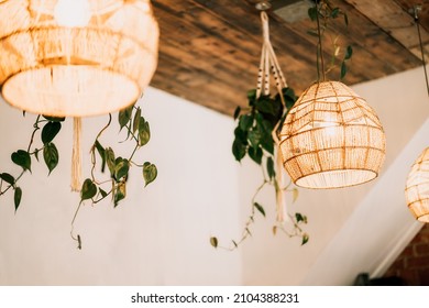 Wicker handmade chandelier lamps on the wooden ceiling, hanging flower pots with green plants on the white wall background. Eco natural trendy style. Modern minimal interior design. Selective focus.