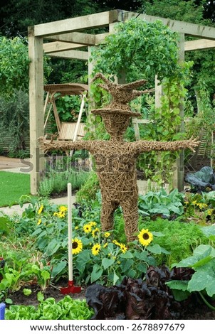 WICKER MAN IN VEGETABLE BORDER, LETTUCE LITTLE GEM, RADDISH CHERRY BELLE, LETTUCE MARSHALL, COURGETTE EIGHT BALL, SUNFLOWER CHOC CHIP, 