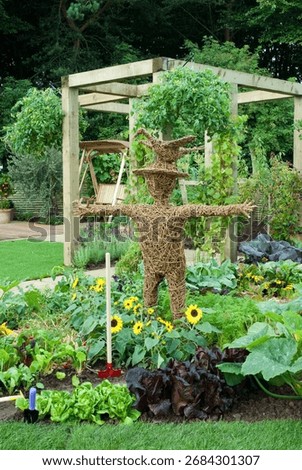 WICKER MAN IN VEGETABLE BORDER, LETTUCE LITTLE GEM, RADDISH CHERRY BELLE, LETTUCE MARSHALL, COURGETTE EIGHT BALL, SUNFLOWER CHOC CHIP, 