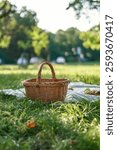 wicker picnic basket on green grass
