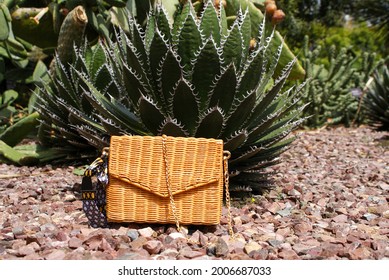 Wicker Purse Against Coastal Agave