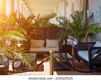 Wicker sofas with palm trees in the relaxing area. Luxury seating area in the shade. The seating area is fenced off with a rope ledge. Selective focus.