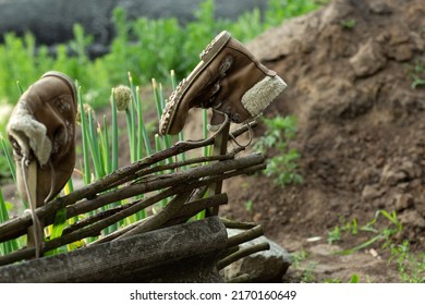 Wicker Willow Fence With Boots